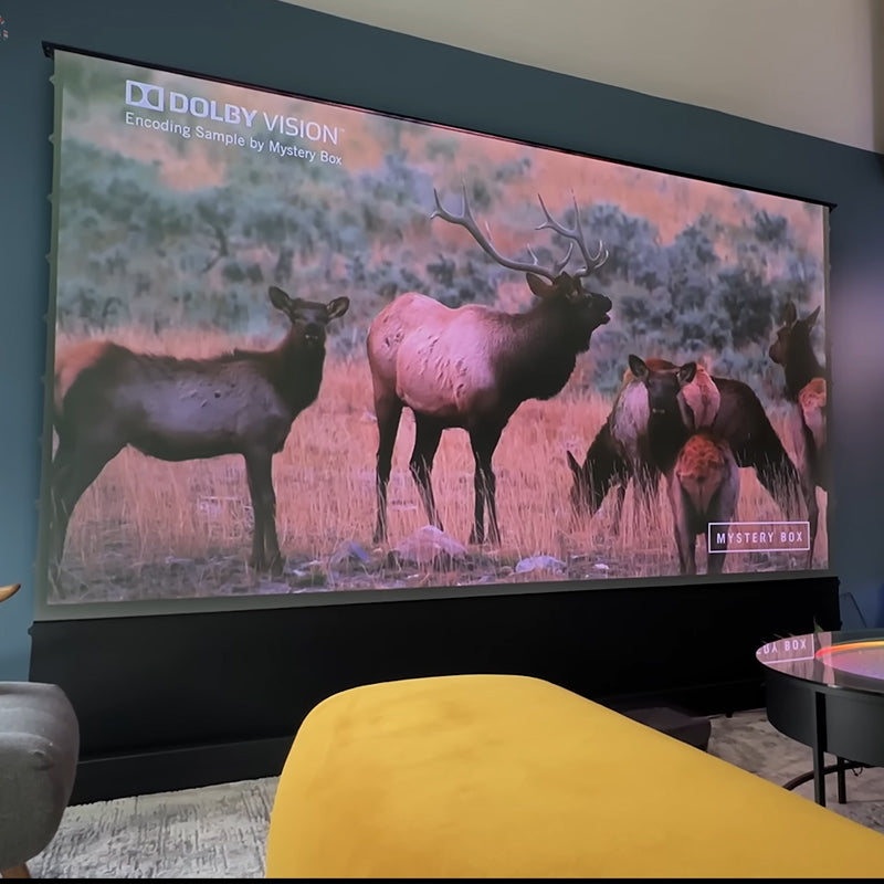 AWOL Vision 100''-130'' AWOL Vision Cinematic+ ALR Motorized Floor Rising Acoustic Screen