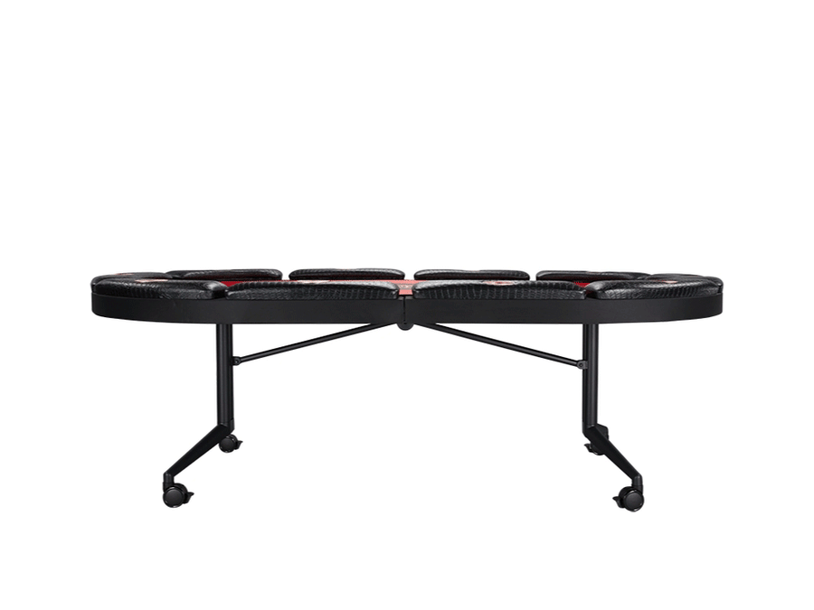 Triton 10 Player Poker Table + 10 Chairs + 1 Extra Mat