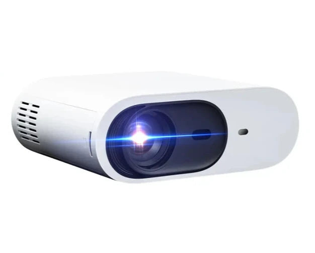 Winstyn Precision Projector